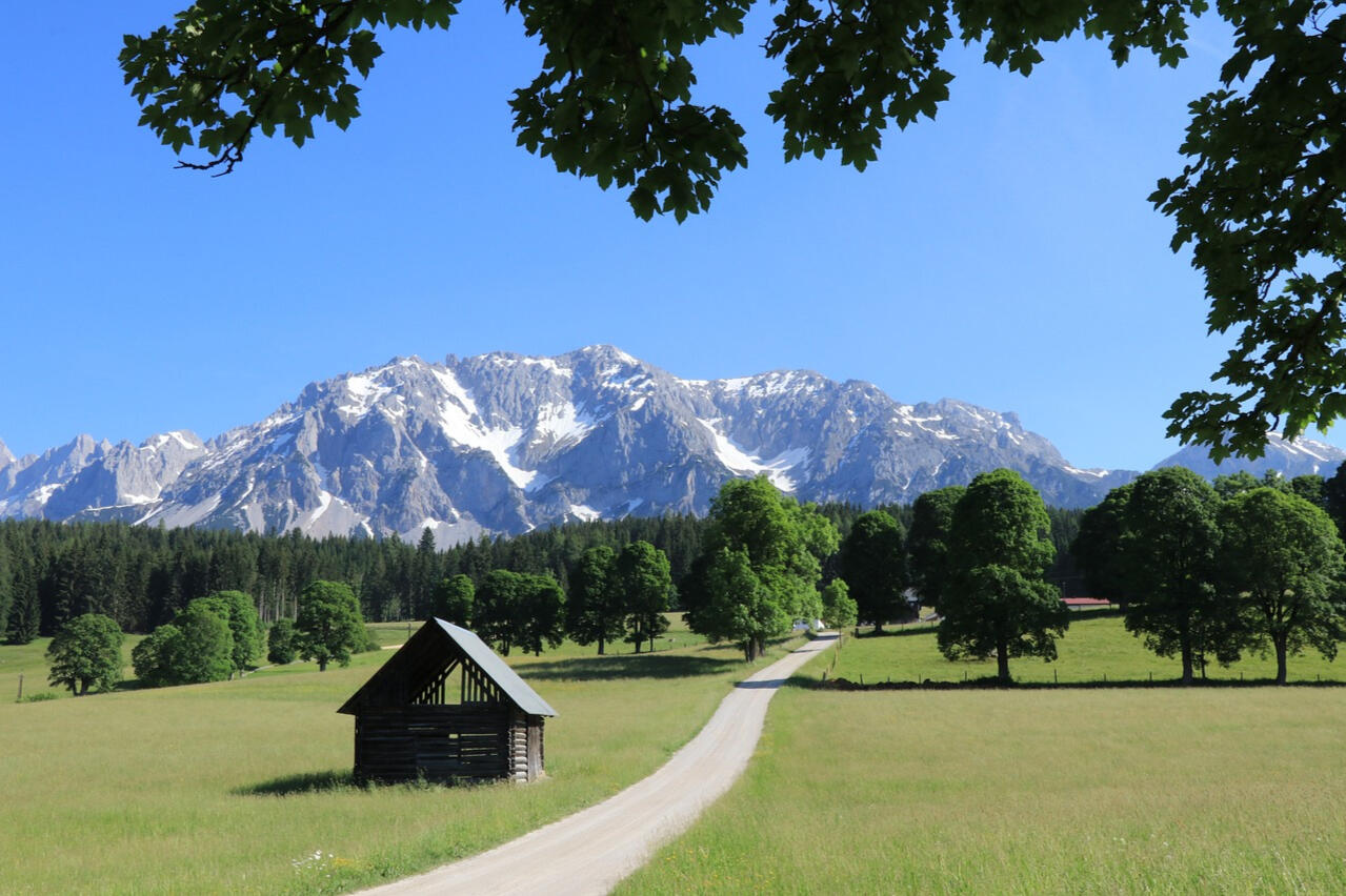 Alpine Scene in Summer